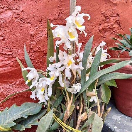 Bhattidanda Fresh & Natural Homestay Dhulikhel Eksteriør billede