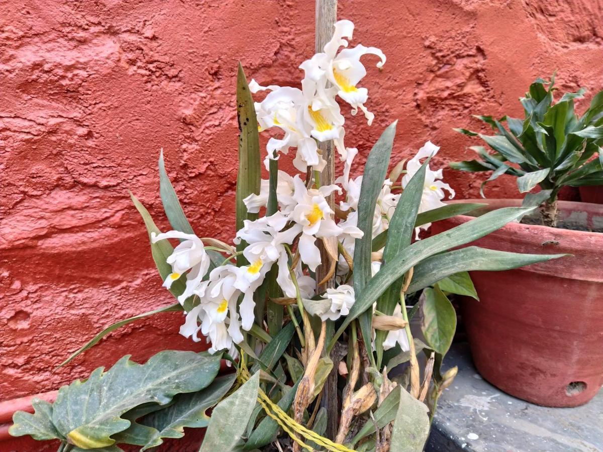 Bhattidanda Fresh & Natural Homestay Dhulikhel Eksteriør billede