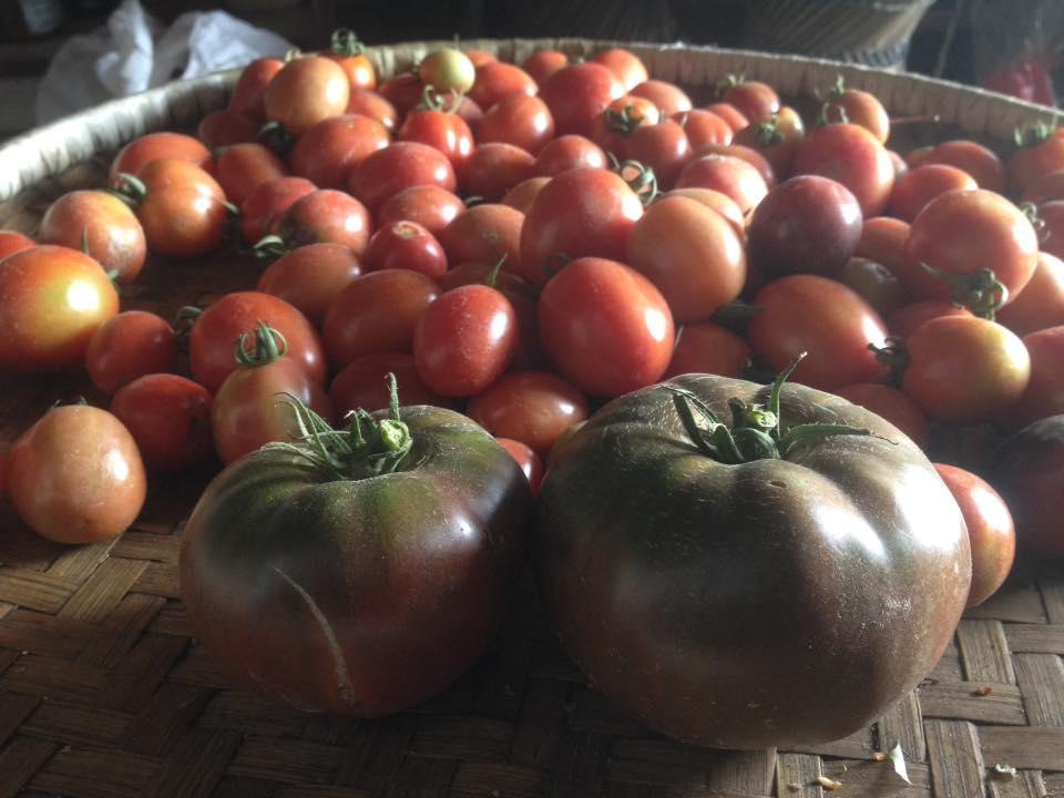 Bhattidanda Fresh & Natural Homestay Dhulikhel Eksteriør billede