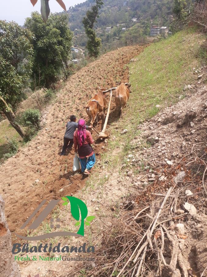 Bhattidanda Fresh & Natural Homestay Dhulikhel Eksteriør billede