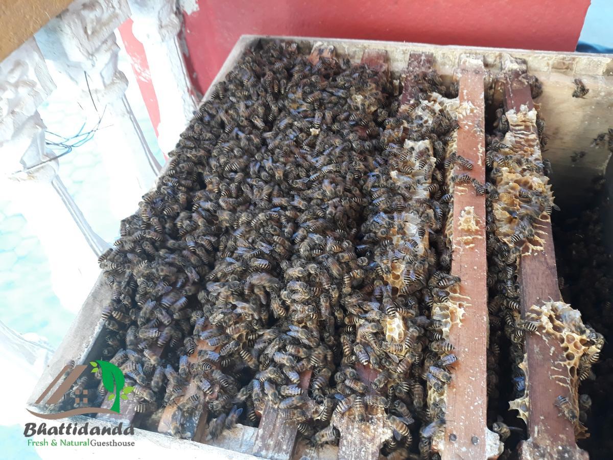 Bhattidanda Fresh & Natural Homestay Dhulikhel Eksteriør billede